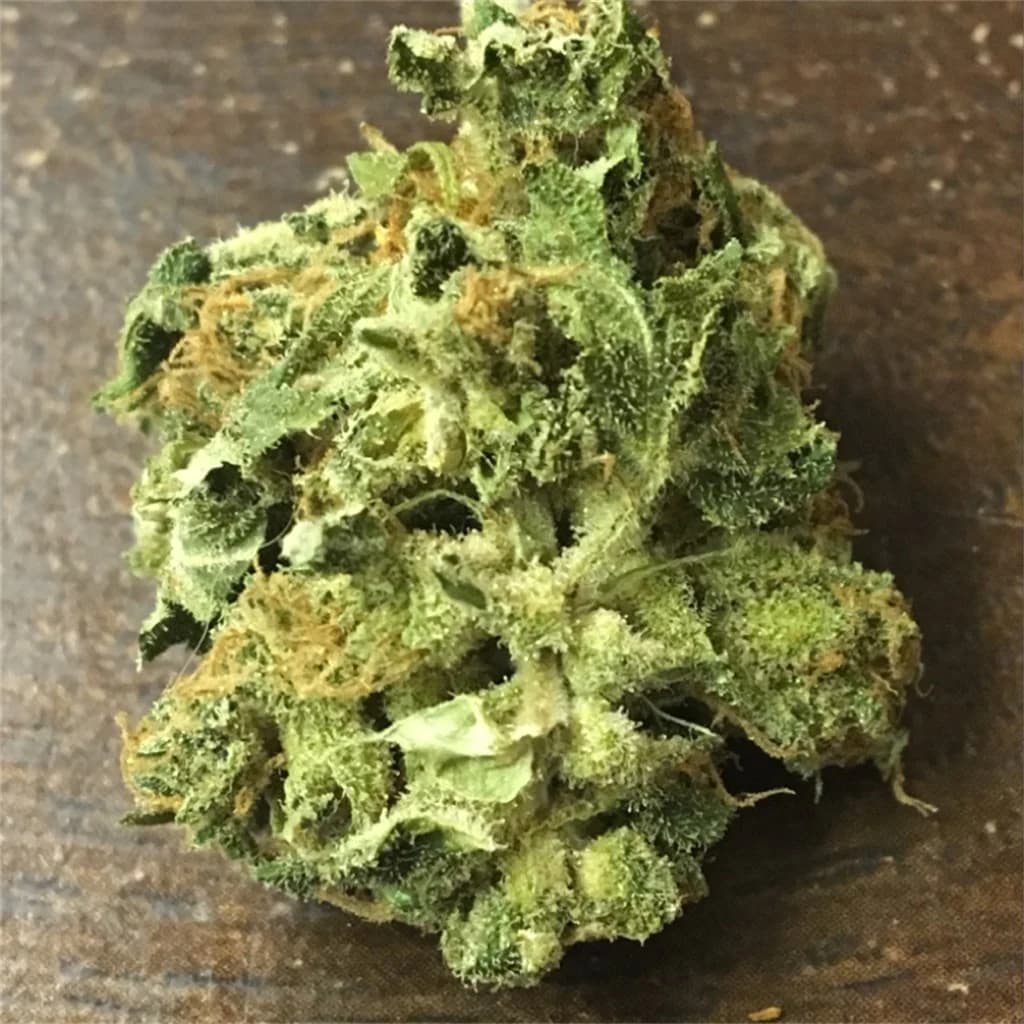 acdc — photo from Leafly community