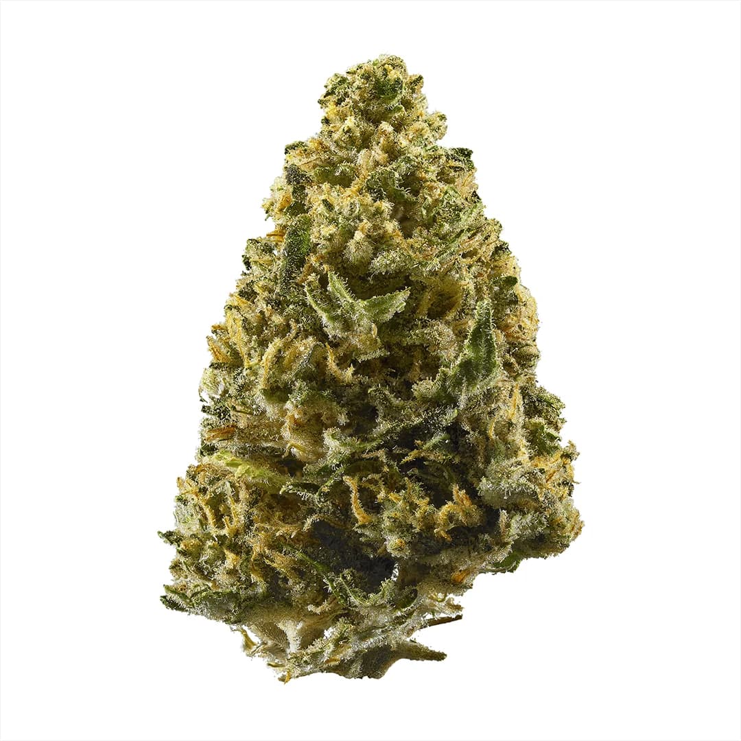 Illustrative cannabis photo from Leafly; not a verified Alien Cookies specimen