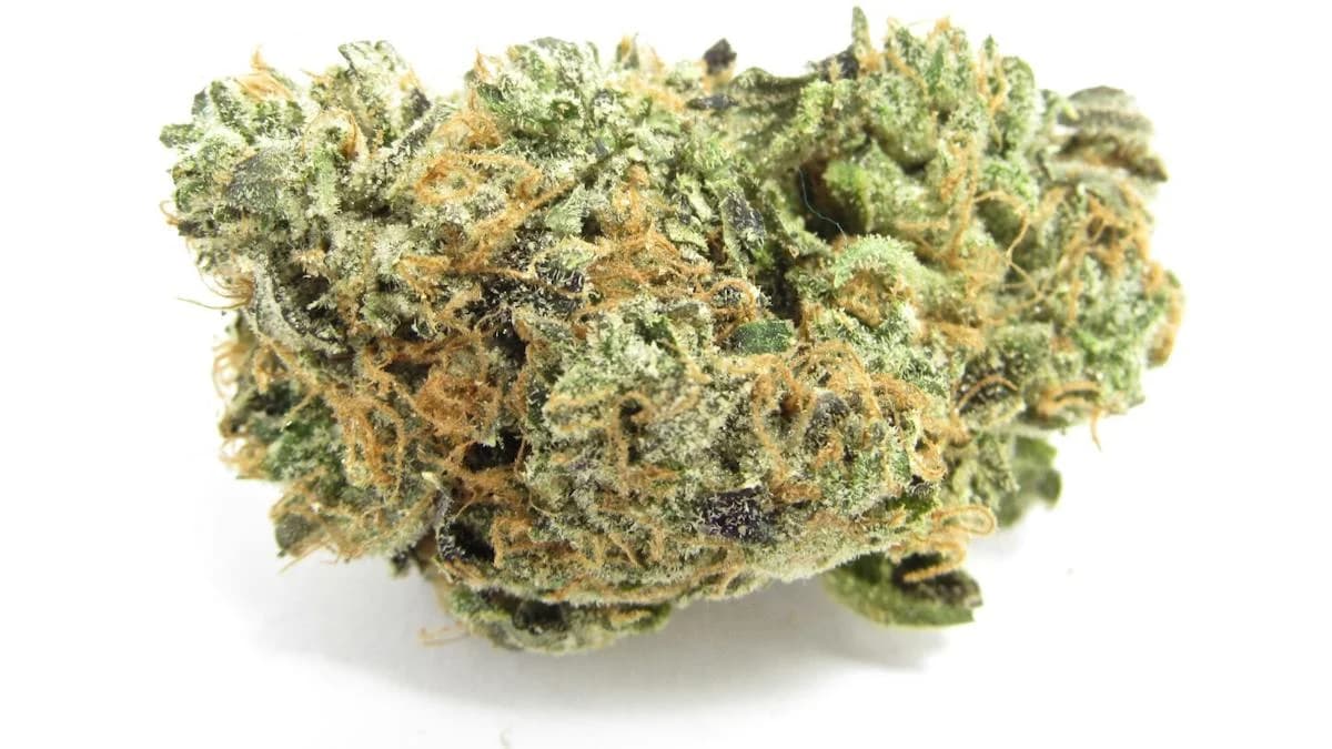 Blue Zushi — photo from Leafly