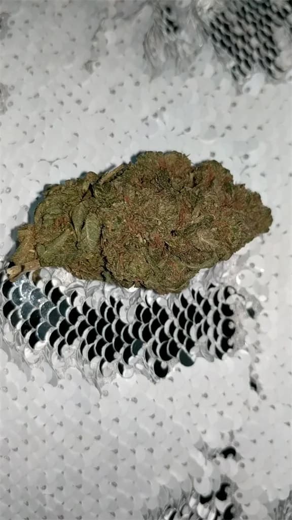 chemdawg — photo from Leafly community