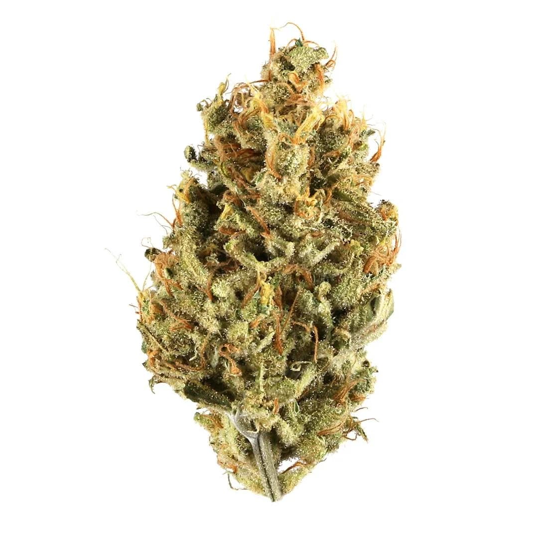 Illustrative cannabis photo from Leafly; not a verified Chocolate Diesel specimen