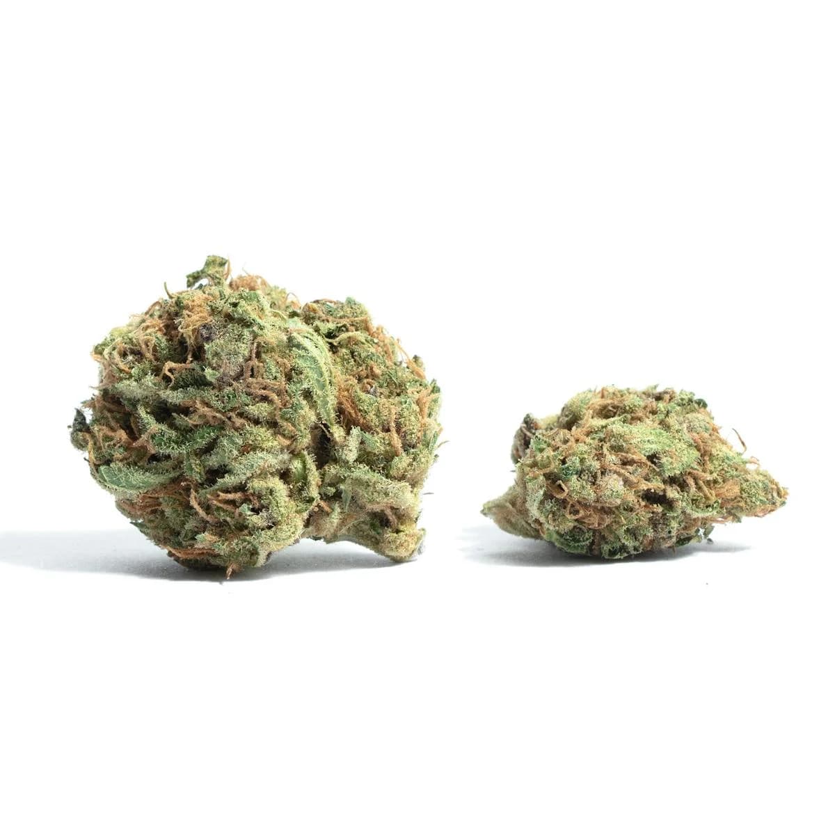 Illustrative cannabis photo from Leafly; not a verified Chocolate Thai specimen