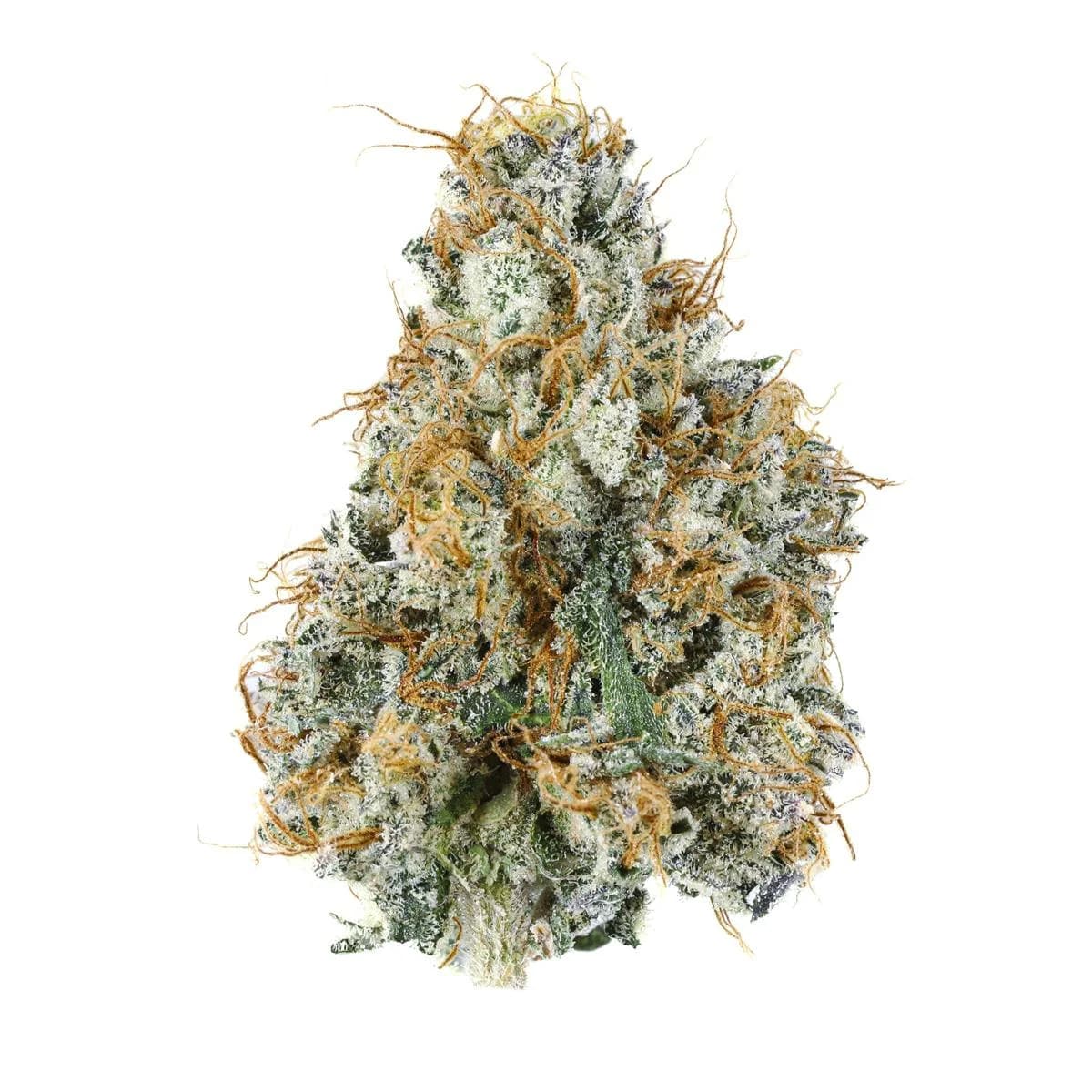 Gary Payton — photo from Leafly