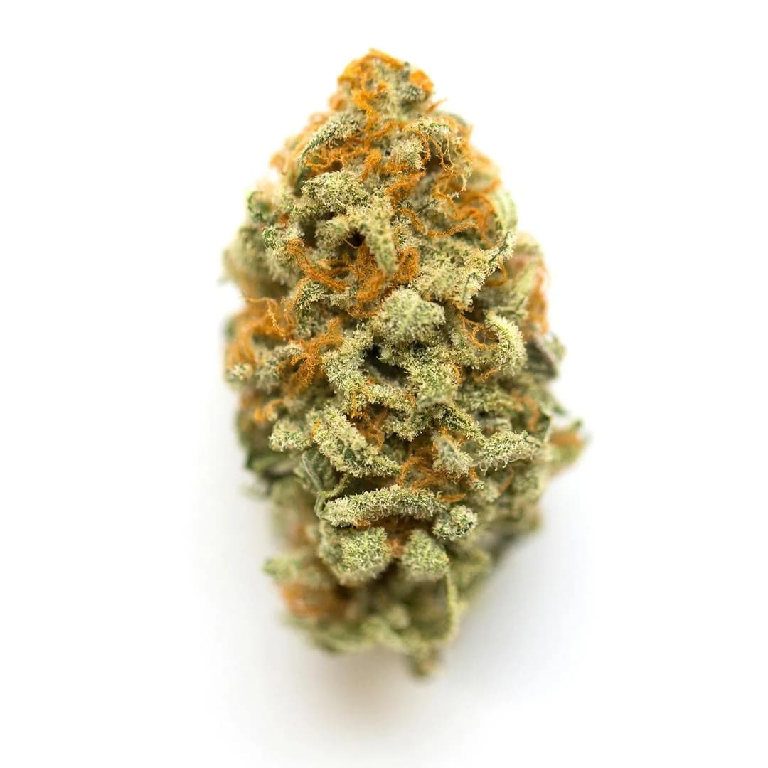 Illustrative cannabis photo from Leafly; not a verified GMO Cookies specimen