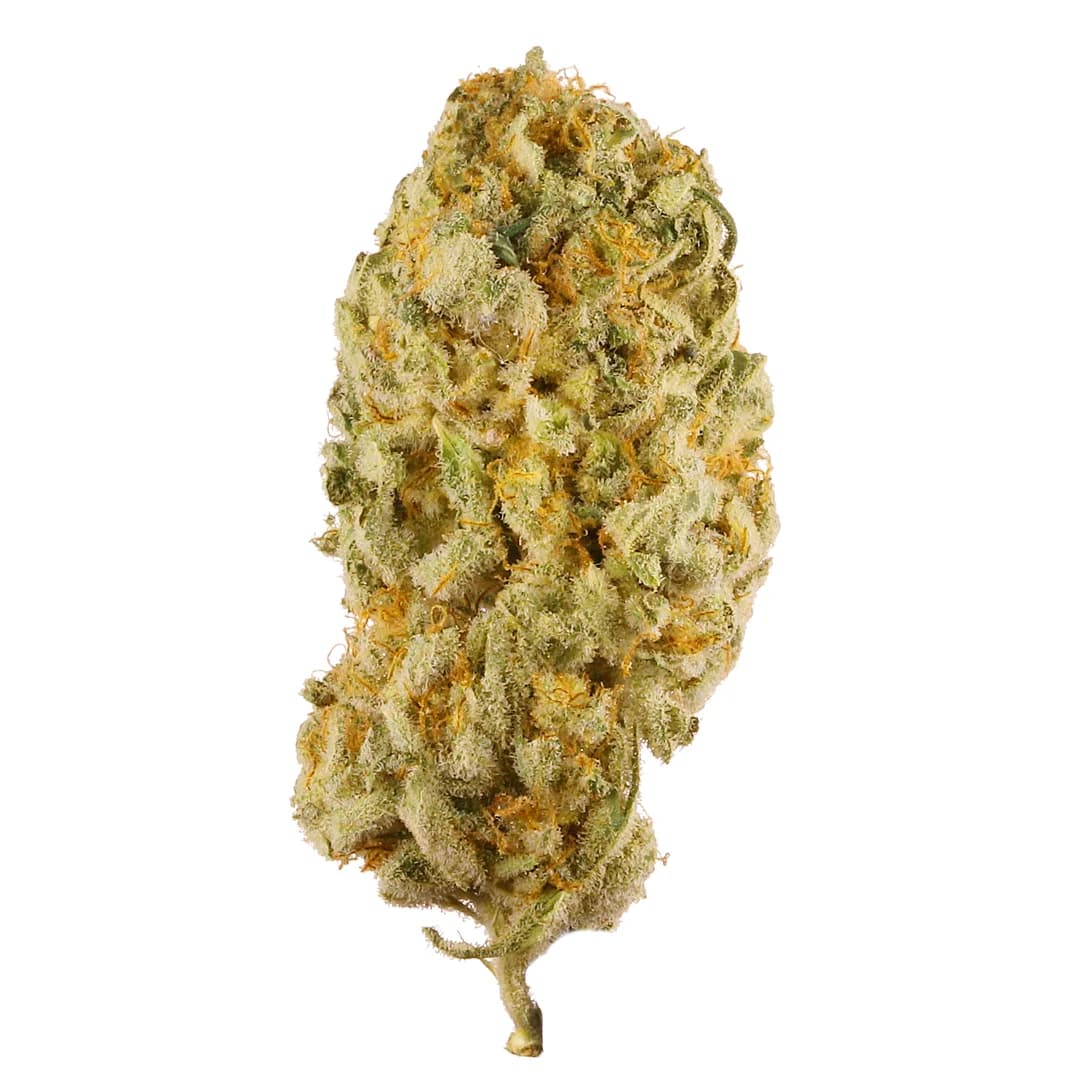 jack herer — photo from Leafly