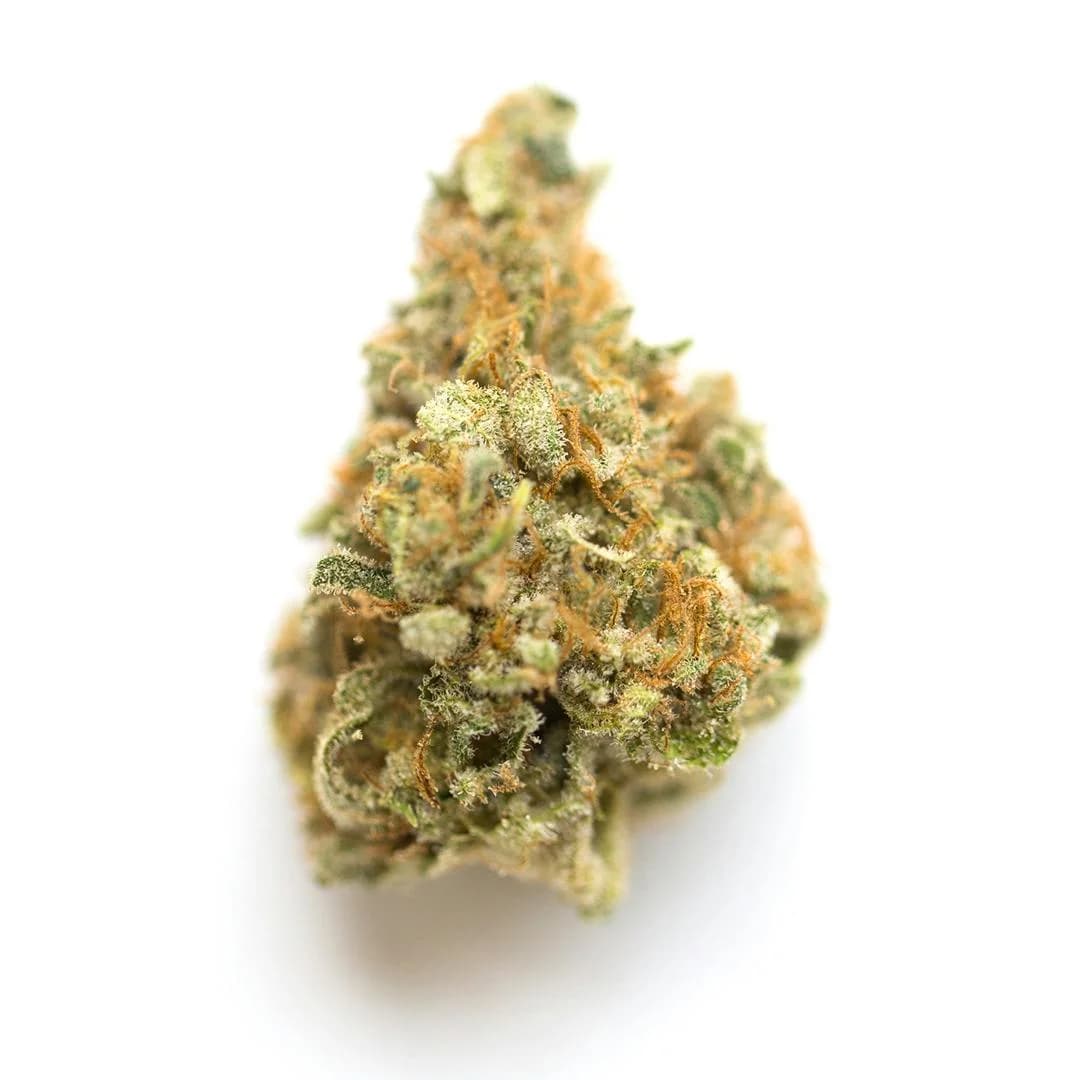 Illustrative cannabis photo from Leafly; not a verified MAC specimen