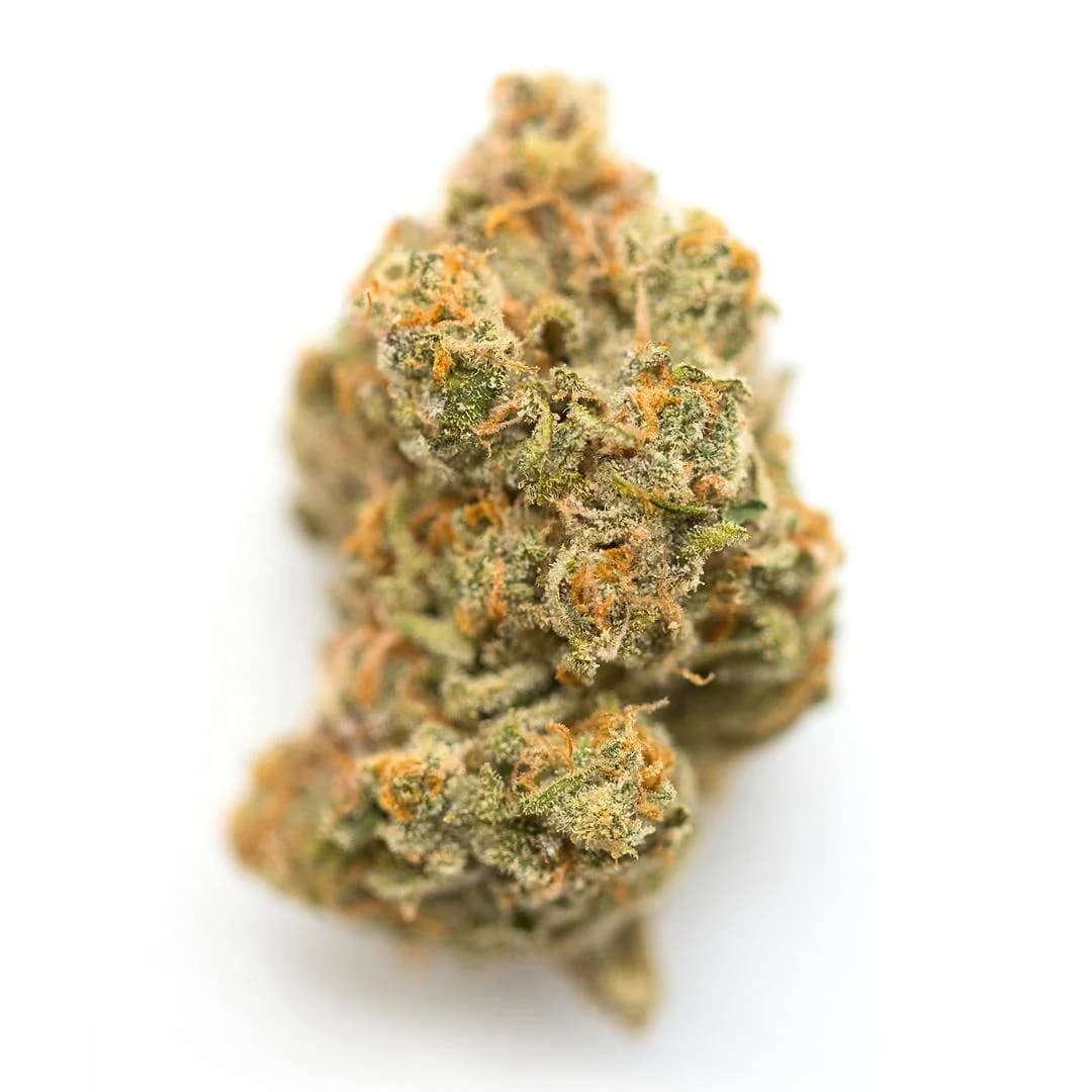 Illustrative cannabis photo from Leafly; not a verified Mazar I Sharif specimen