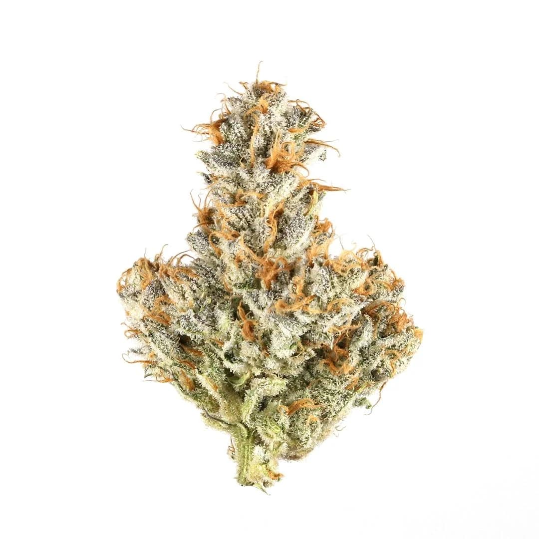 Illustrative cannabis photo from Leafly; not a verified Mendo Breath specimen