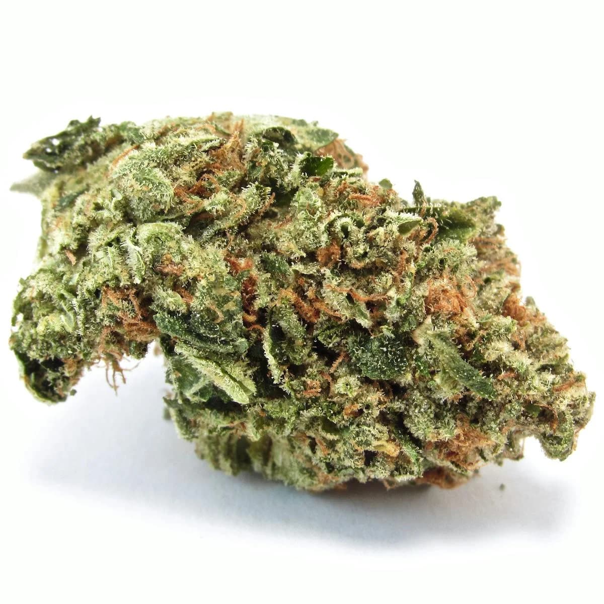 Motorbreath — photo from Leafly