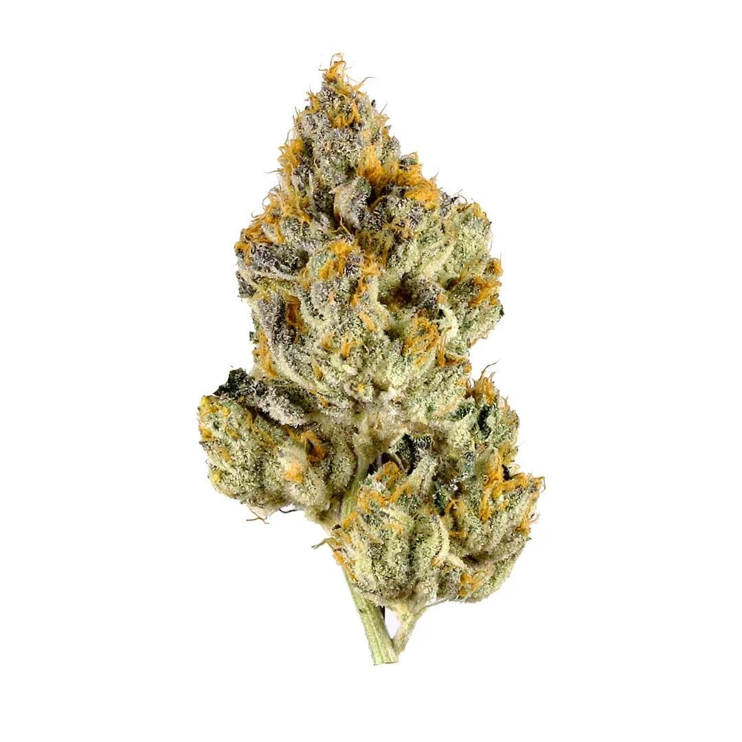Illustrative cannabis photo from Leafly; not a verified Red Congolese specimen