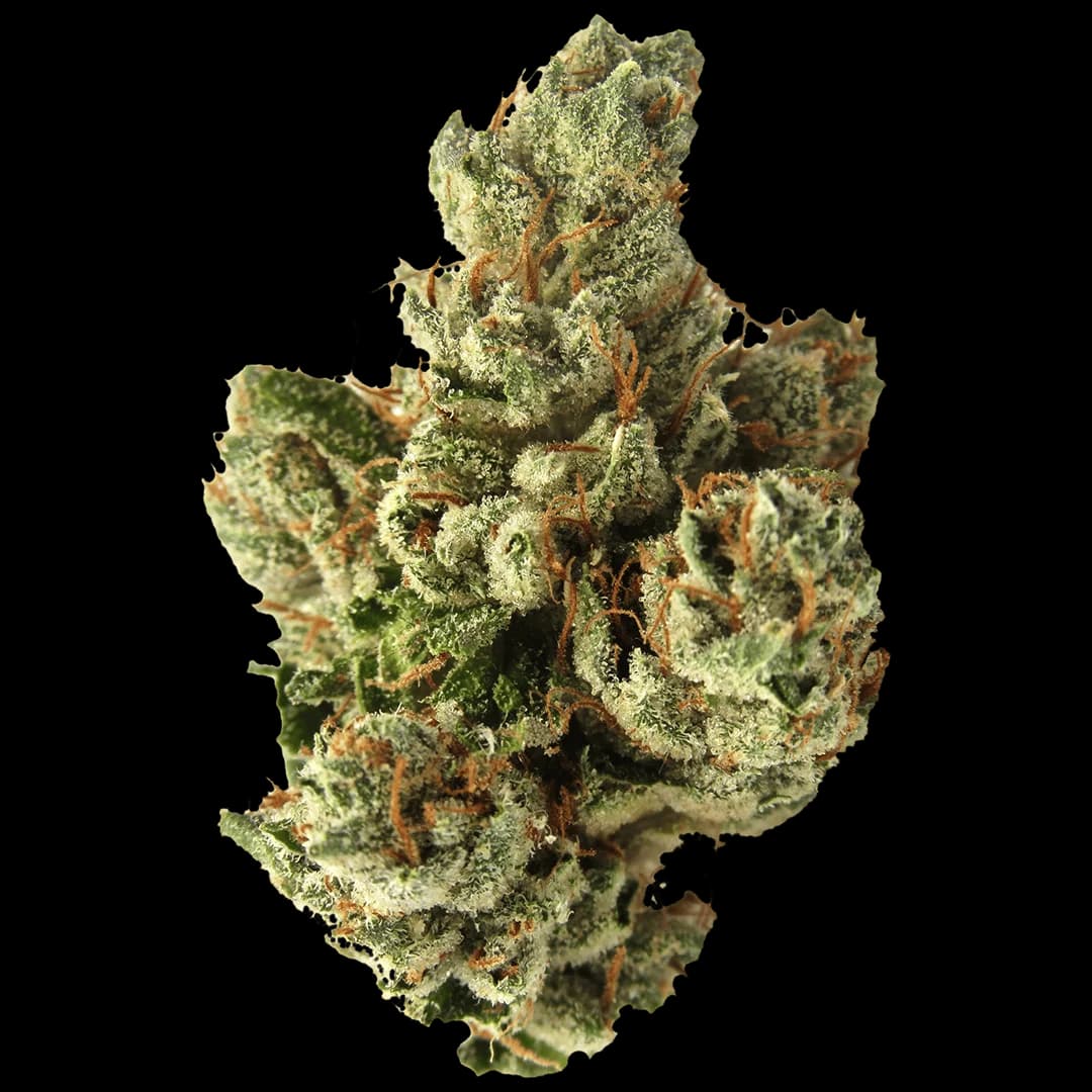 SFV OG Kush — photo from Leafly