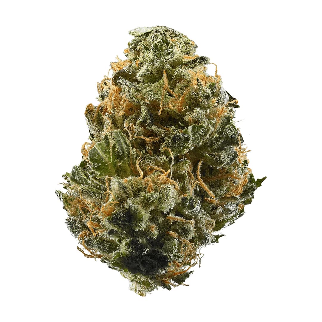 Illustrative cannabis photo from Leafly; not a verified Skunk Haze specimen