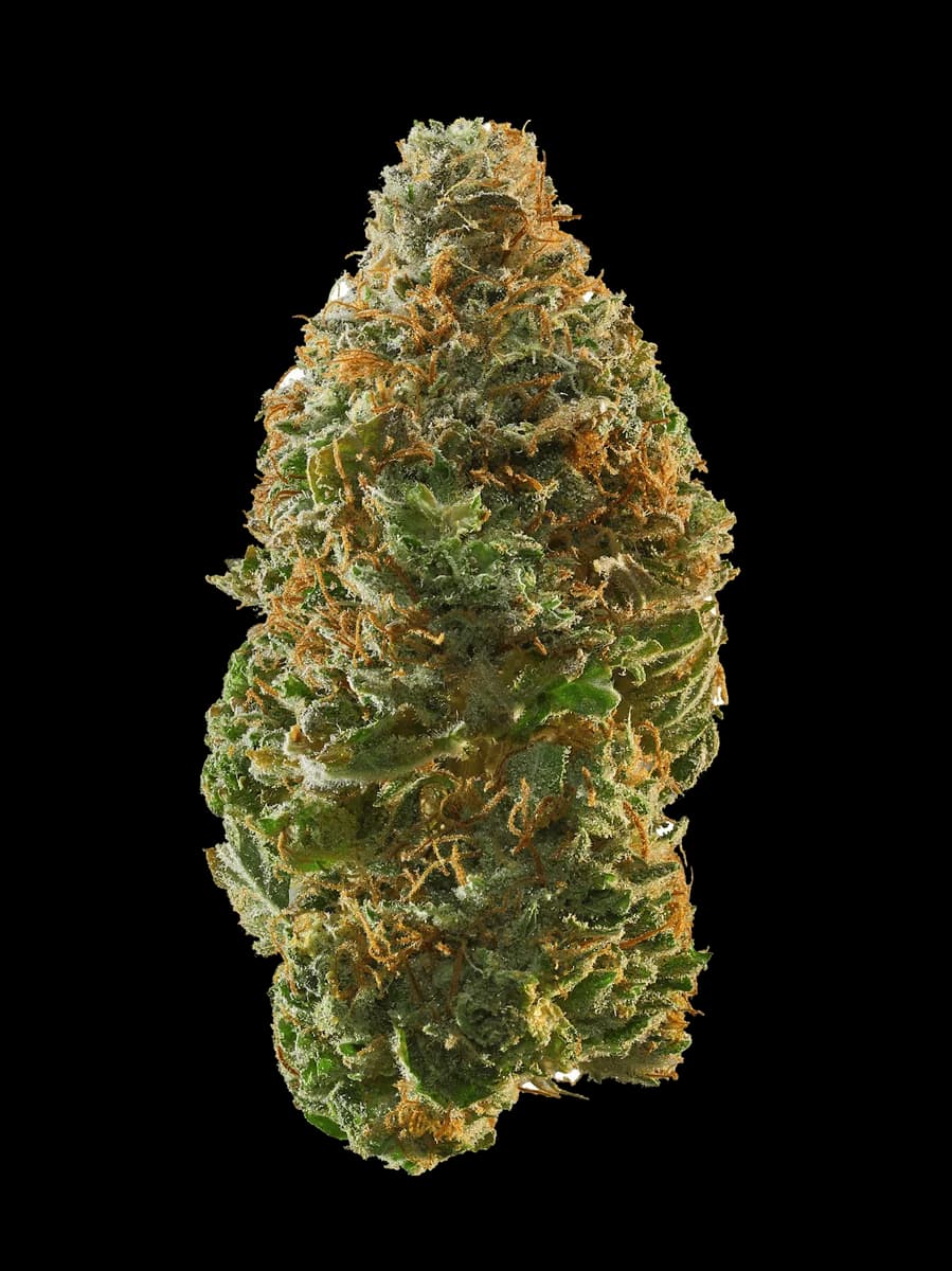 Illustrative cannabis photo from Leafly; not a verified Space Queen specimen
