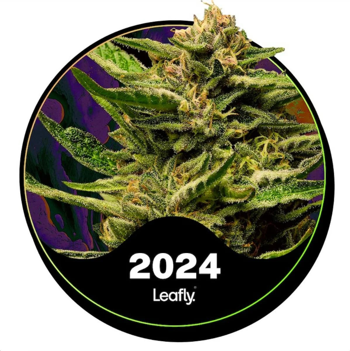 Super Boof — photo from Leafly