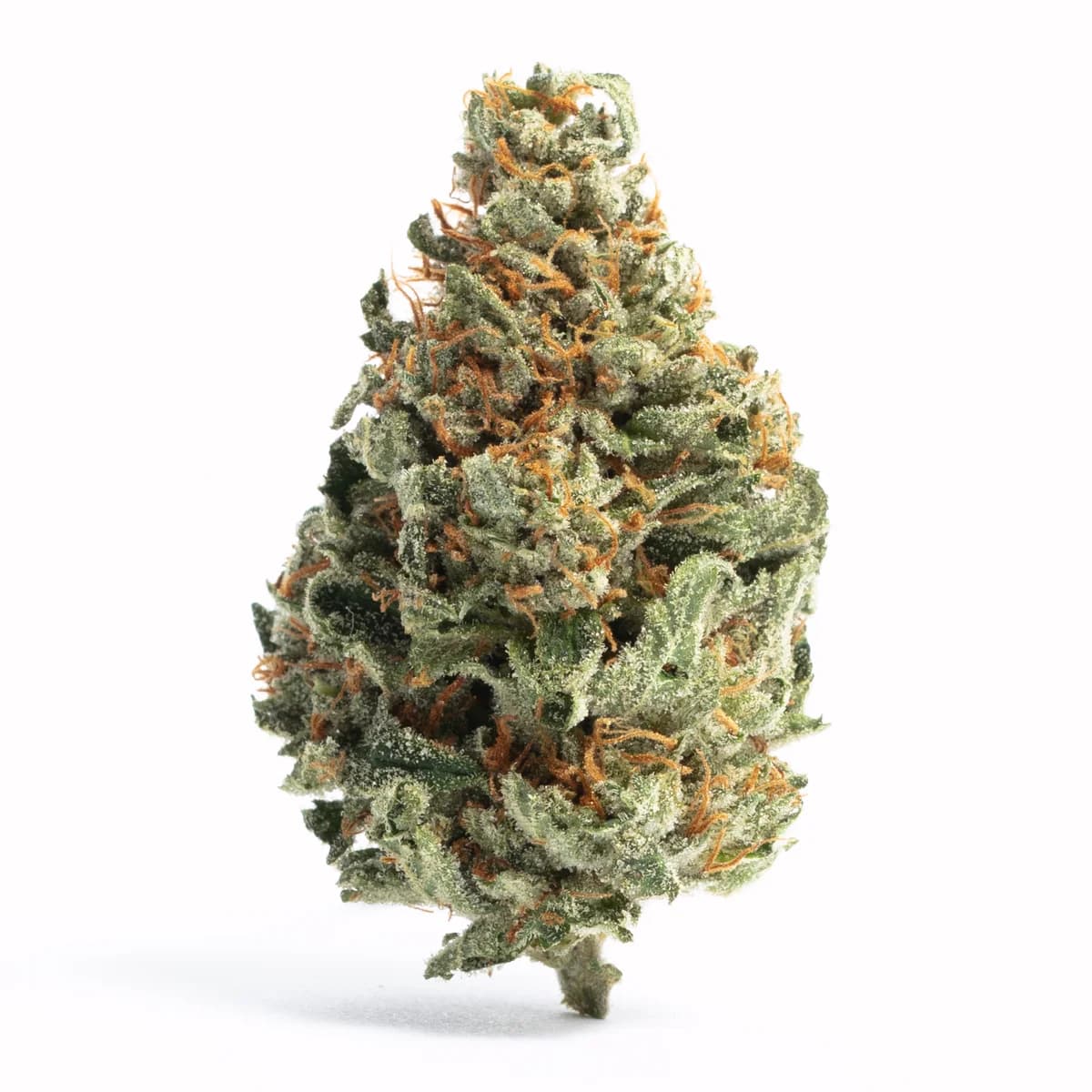 Chocolope — photo from Leafly