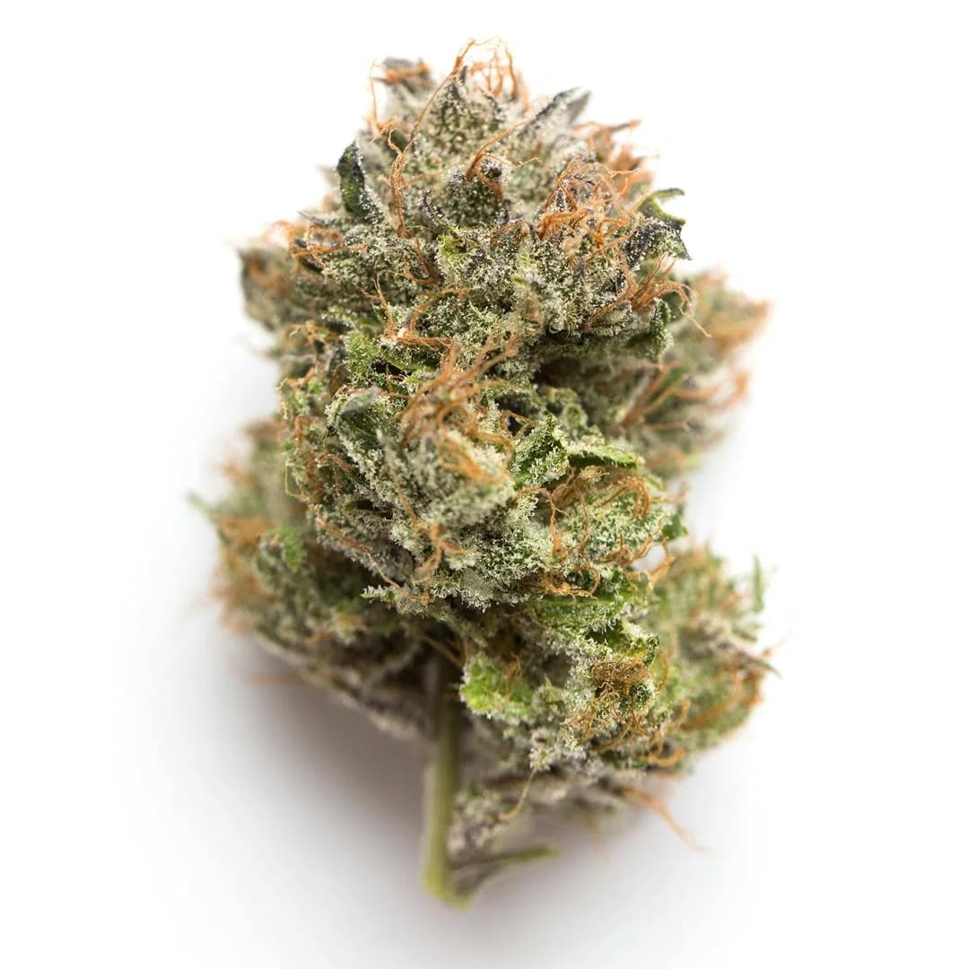 Illustrative cannabis photo from Leafly; not a verified Gelato #33 specimen