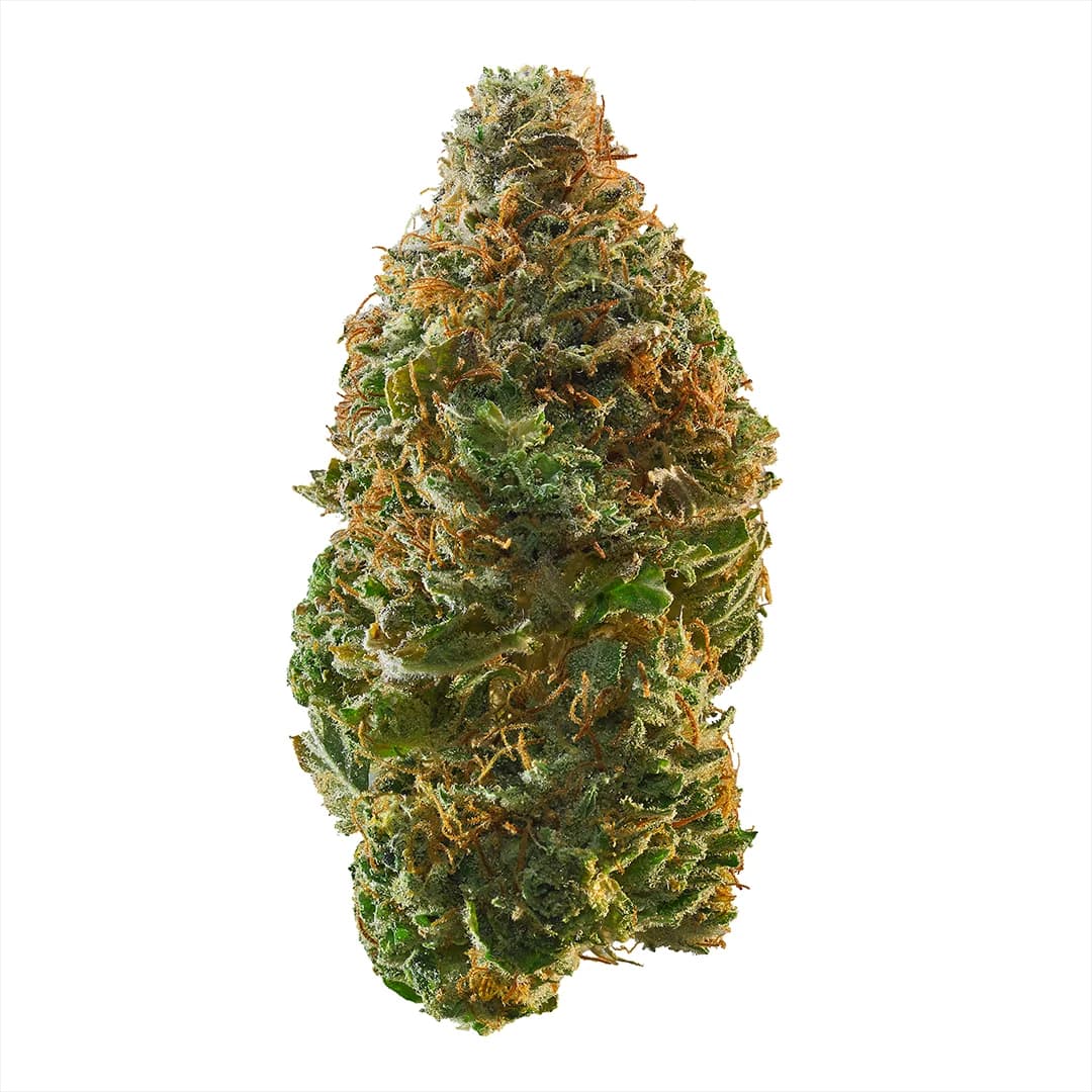Trainwreck — photo from Leafly